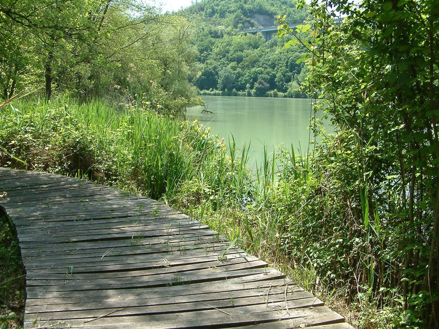 Riserva Naturale