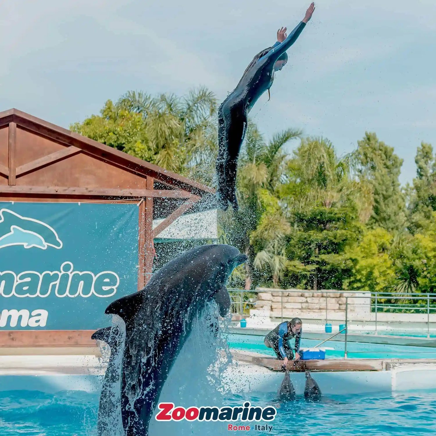 Zoomarine Roma